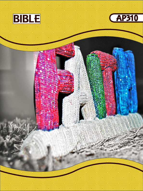 BIBLE 310